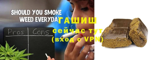хмурый Алзамай