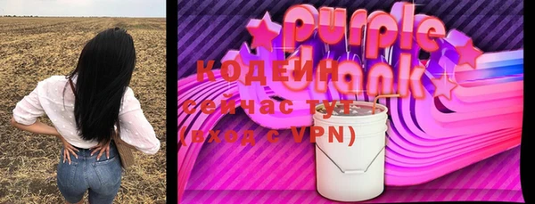 хмурый Алзамай