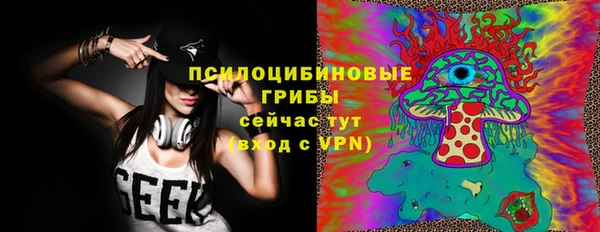 хмурый Алзамай