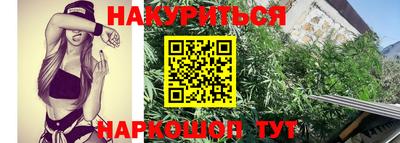стафф Малгобек