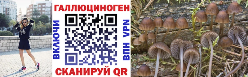 даркнет сайт  Боровичи  Галлюциногенные грибы ЛСД 