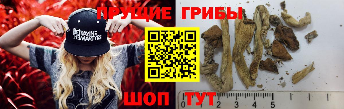 Галлюциногенные грибы мухоморы  Вход с VPN  Псилоцибиновые грибы Cubensis  Боровичи 